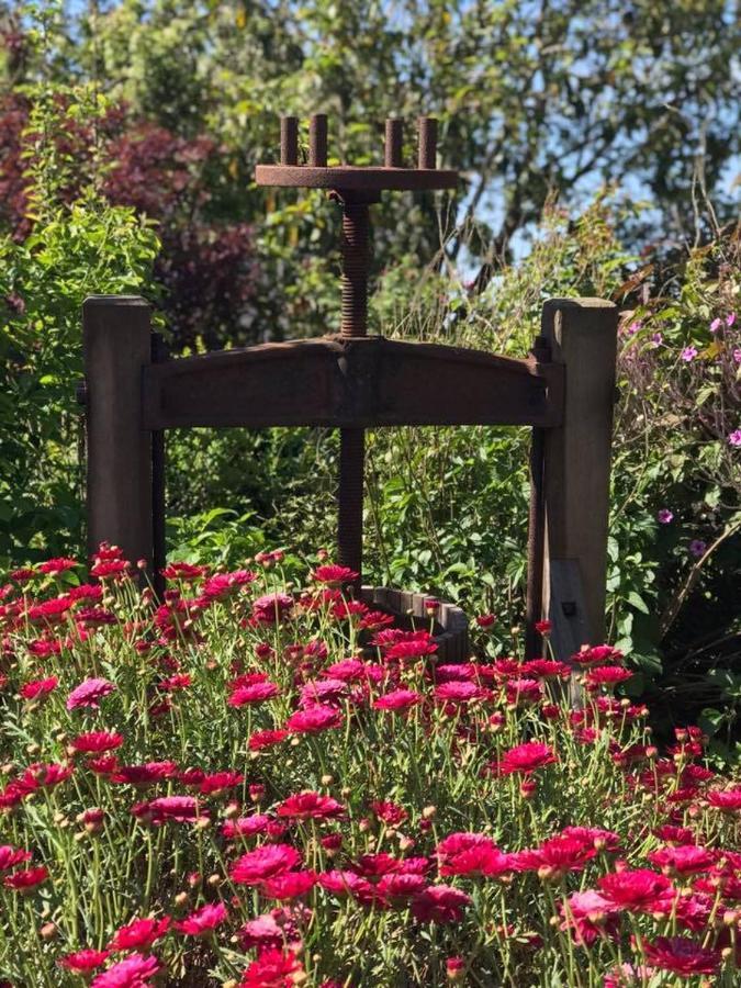 Robin Hoods Well Farm Stay Sassafras Εξωτερικό φωτογραφία