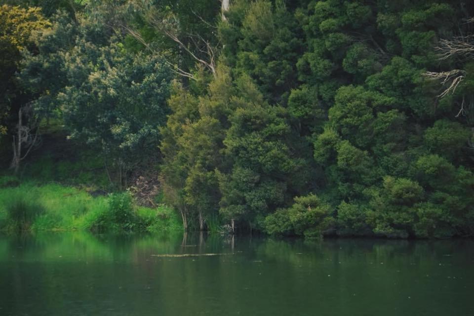 Robin Hoods Well Farm Stay Sassafras Εξωτερικό φωτογραφία