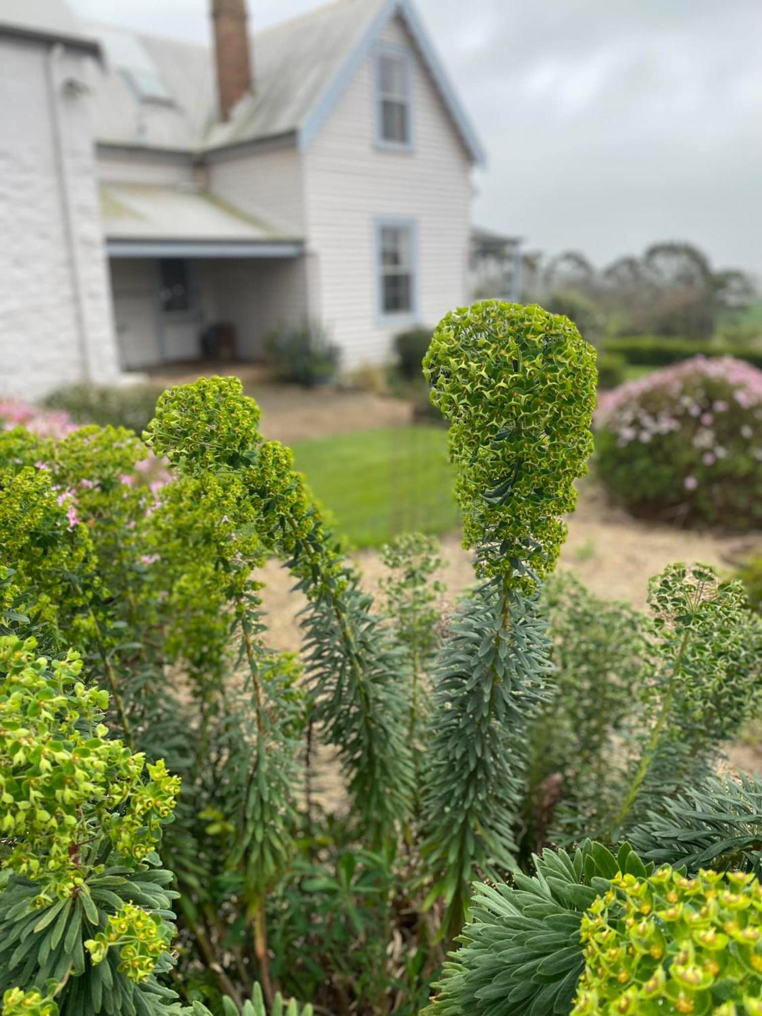 Robin Hoods Well Farm Stay Sassafras Εξωτερικό φωτογραφία
