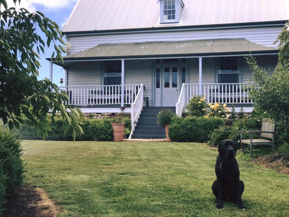 Robin Hoods Well Farm Stay Sassafras Εξωτερικό φωτογραφία