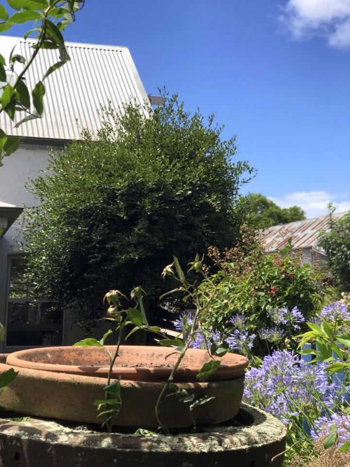 Robin Hoods Well Farm Stay Sassafras Εξωτερικό φωτογραφία