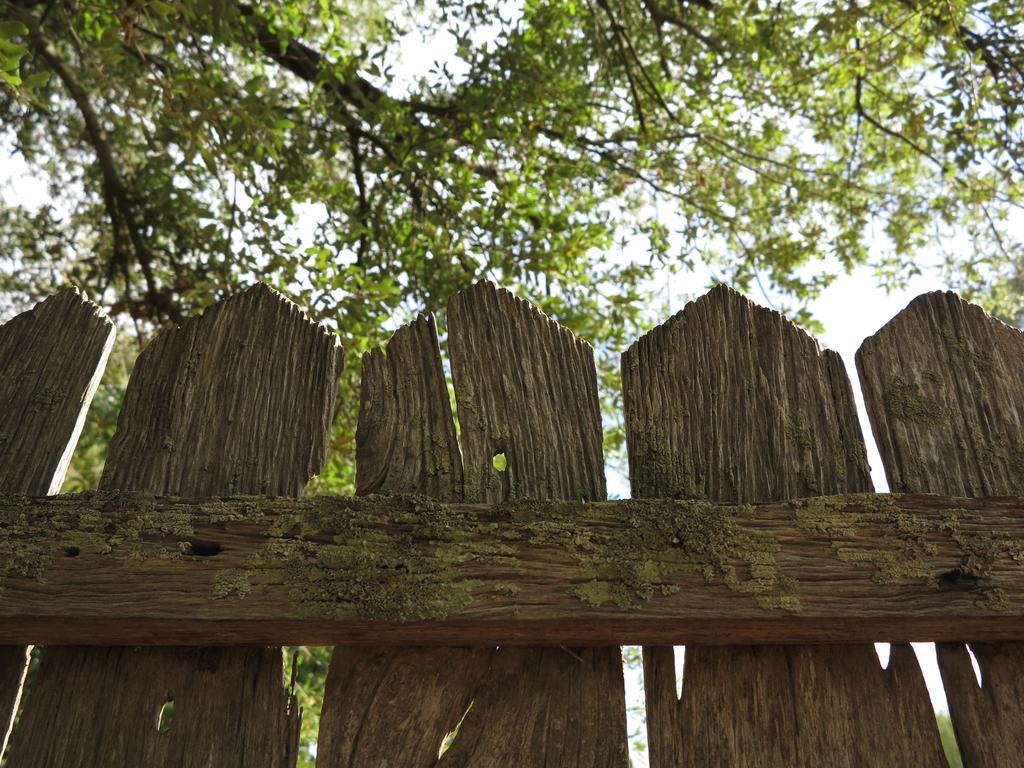 Robin Hoods Well Farm Stay Sassafras Εξωτερικό φωτογραφία