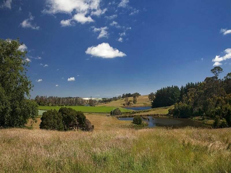 Robin Hoods Well Farm Stay Sassafras Εξωτερικό φωτογραφία