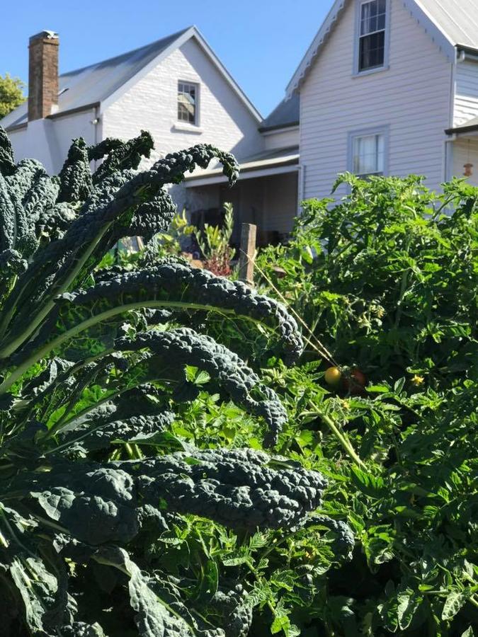 Robin Hoods Well Farm Stay Sassafras Εξωτερικό φωτογραφία